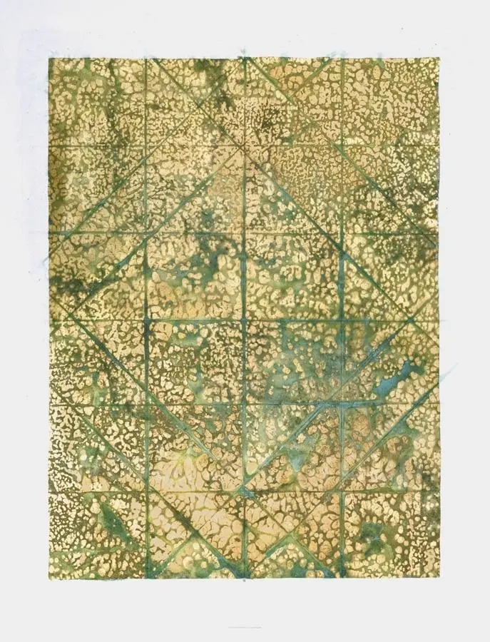 Transect Embellished Canvas Art | 1