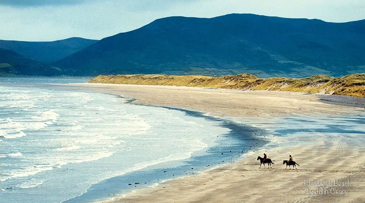 Rossbeigh Beach & Horses 1