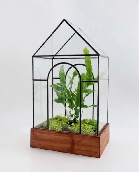 Temple Terrarium 1