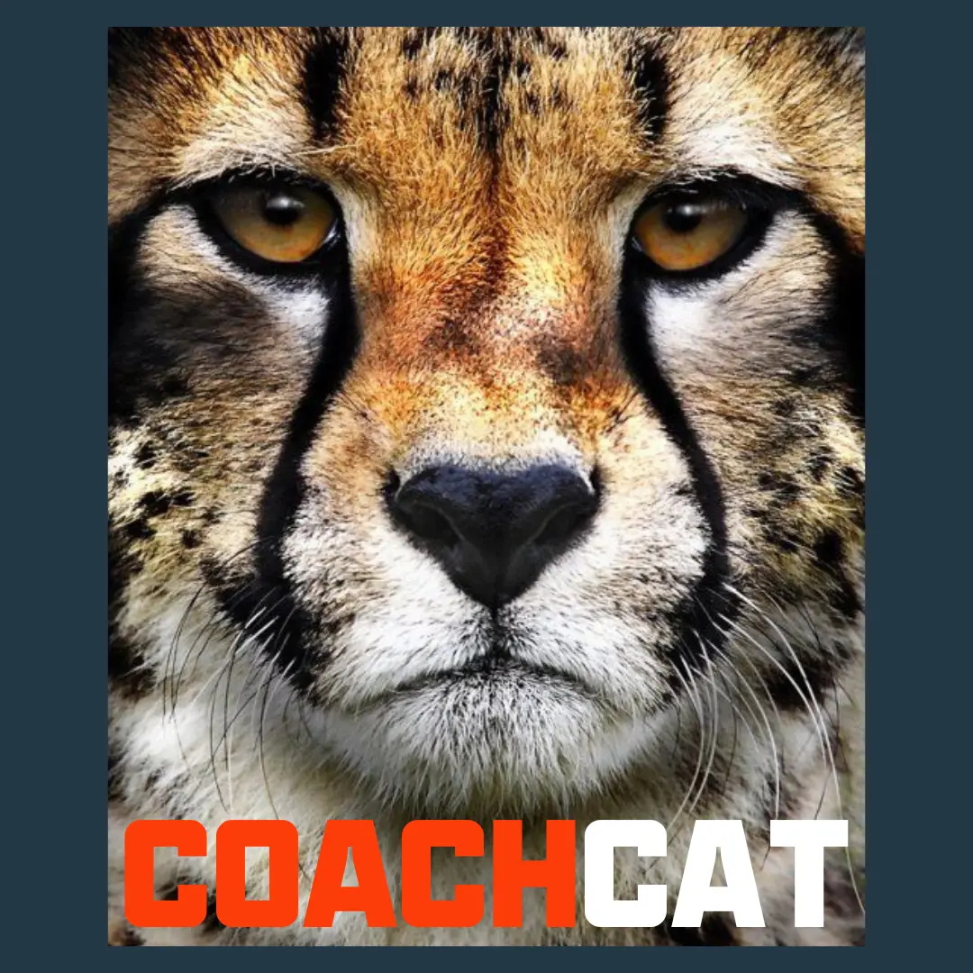 Coachcat: Intelligent Improvement To Ride Faster 1