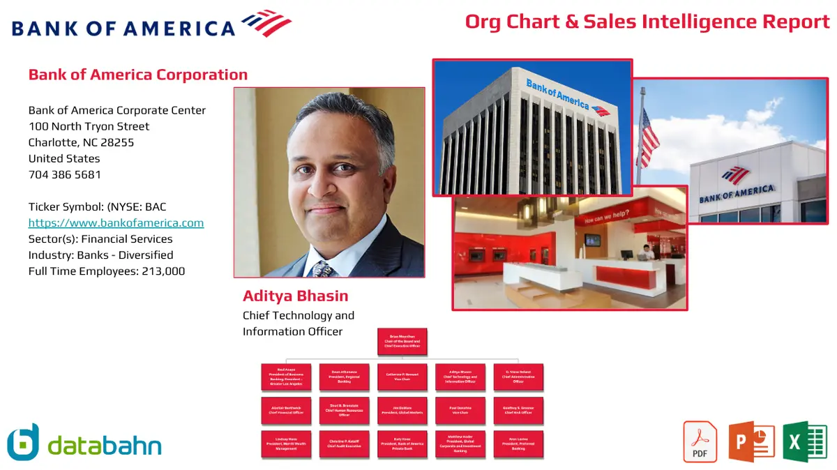 Bank Of America Org Chart & Sales Intelligence Report 1