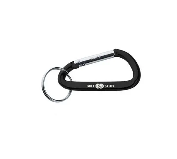 Carabiner Keychain 1