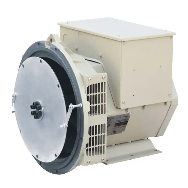 Acg164d: 12.8Kw, 3 Phase, Brushlesstype Alternator 1