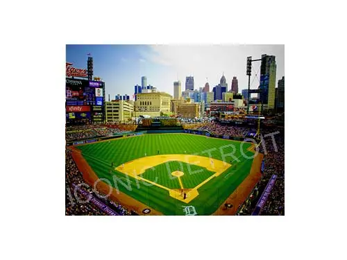 Comerica Park Field Luster Or Canvas Print $35 - $430 1