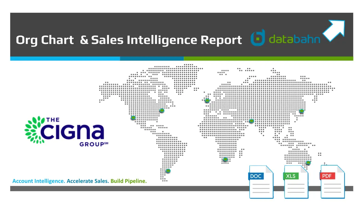Cigna Org Chart Report 1