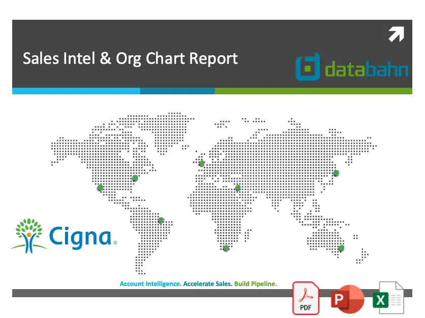 Cigna Company Profile Report 1
