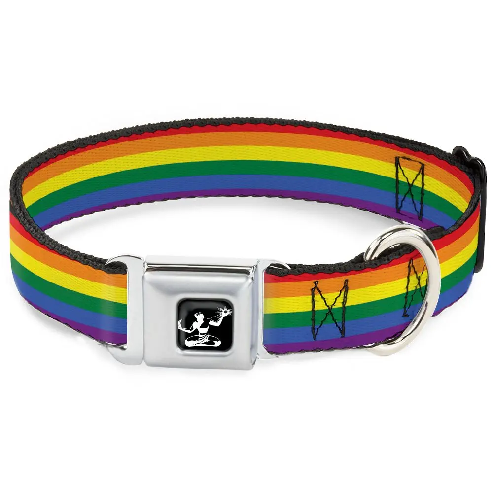 Spirit Of Detroit Dog Collar / Rainbow Stripe 1