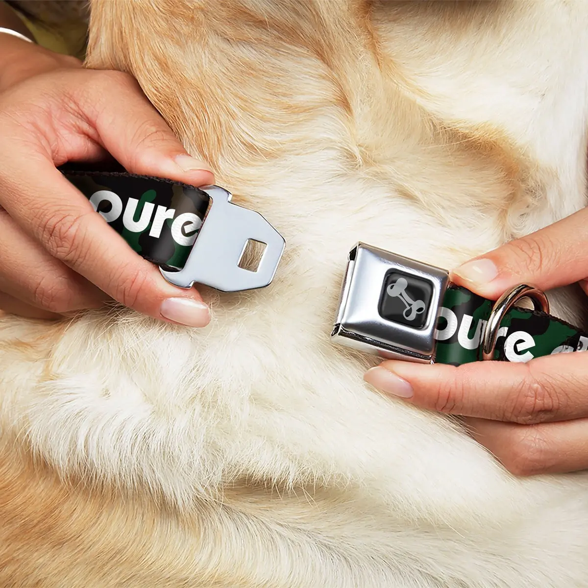Pure Detroit Seatbelt Buckle Collar - Camo Olive/White 2