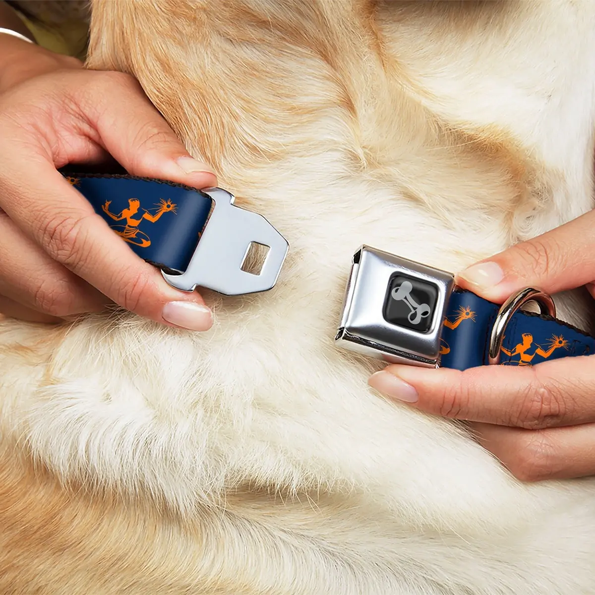 Spirit Of Detrit Seatbelt Buckle Dog Collar - Navy / Bright Orange 2