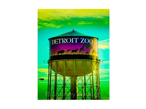 Detroit Zoo Tower Luster Or Canvas Print $35 - $430 1