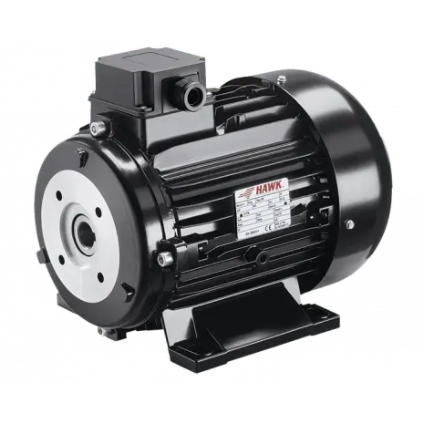 Hydro-090 Tp 112L4 Electric Motor 7.5Hp 5Kw 1