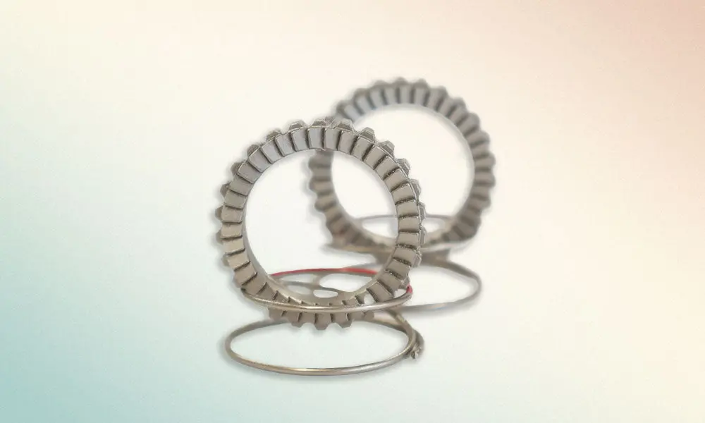 Ffwd Ratchet/Spring Kit 1