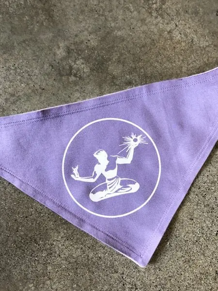 Spirit Of Detroit Bandana Bib / Lavender + Pink / Baby 1