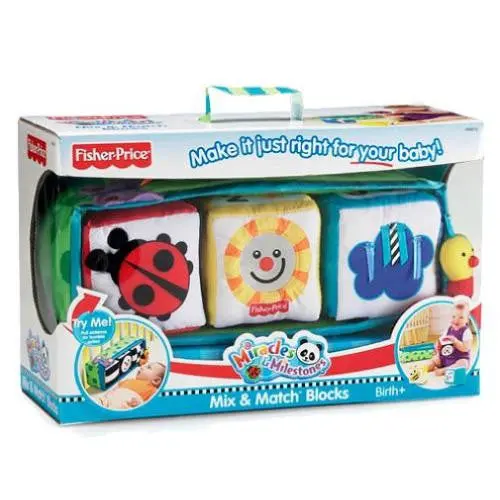 Fisher-Price Mix & Match Blocks 1