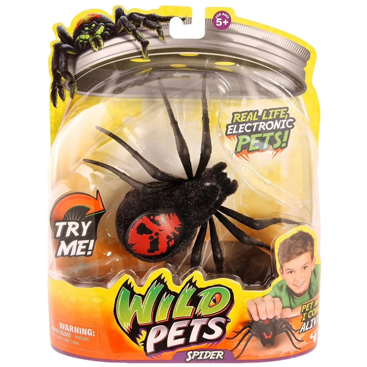 Wild Pets Spider - Creepster 1