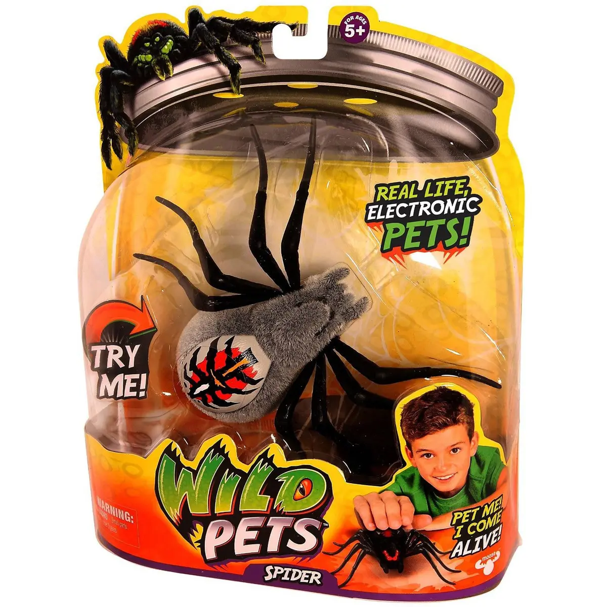 Wild Pets Spider - Wolfgang 1