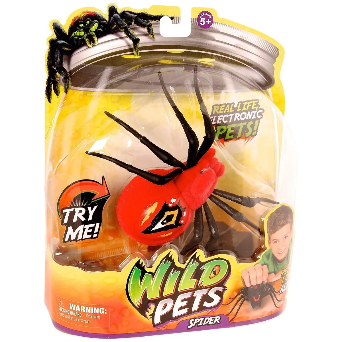 Wild Pets Spider - Eyegore 1