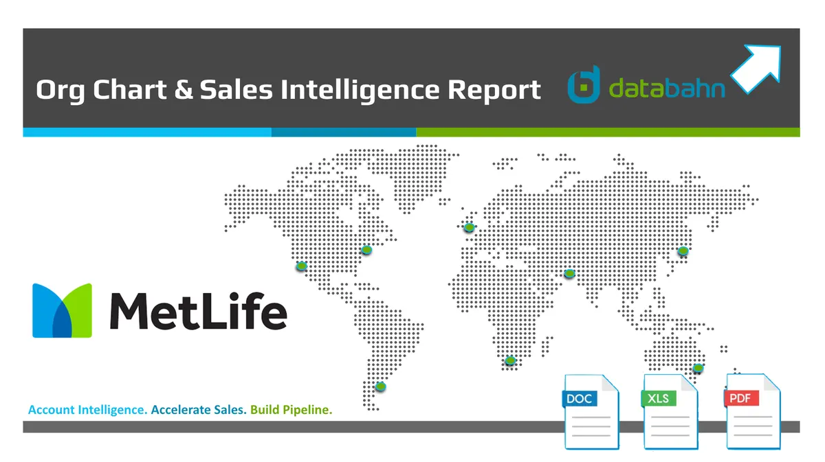 Metlife Org Chart & Company Profile Report 1