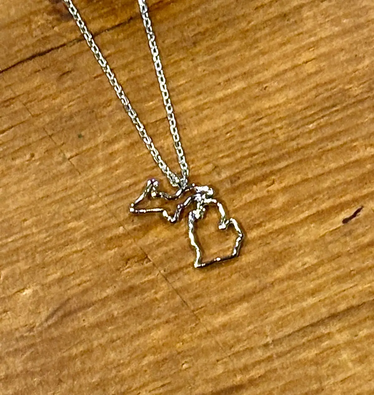 Michigan Dainty Necklace / Silver 1