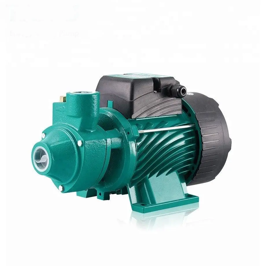 Qb60: Volumetric Pump 0.5 Hp 1