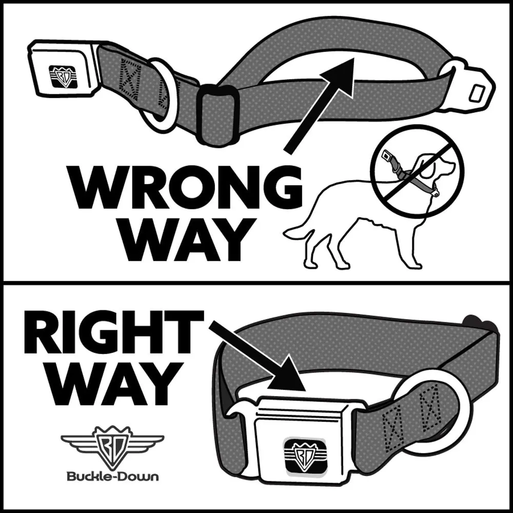 Spirit Of Detrit Seatbelt Buckle Dog Collar - Navy / Bright Orange 5