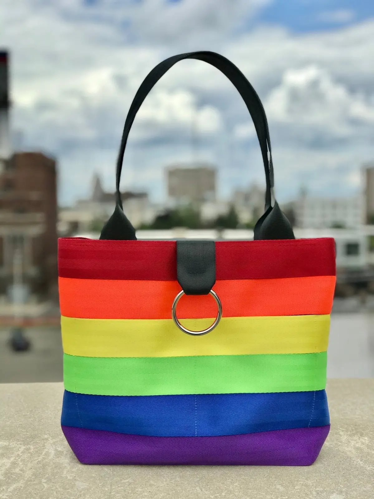 Pure Detroit Official -  Medium Ring Tote Seatbelt Bag - Rainbow Spectrum Pre Order 1
