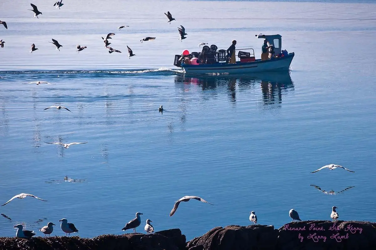 Renard Point Larry Lamb 1
