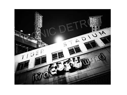 Tiger Stadium Lights Luster Or Canvas Print $35 - $430 1
