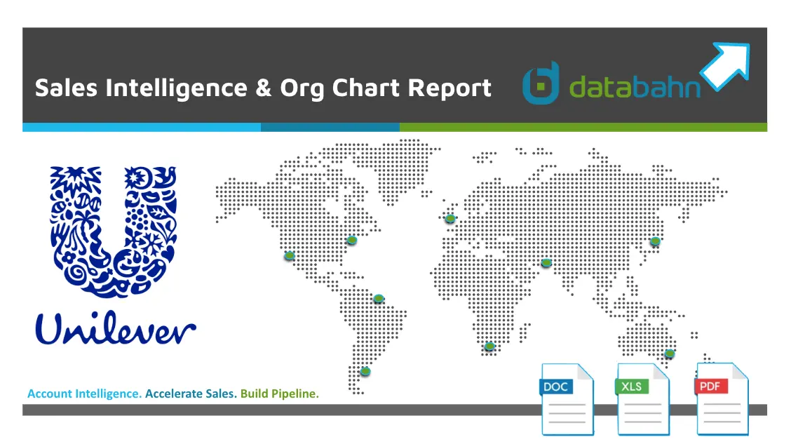 Unilever Org Chart And Sales Intelligence Report 1