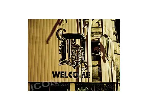 Welcome To Tiger Stadium Luster Or Canvas Print $35 - $430 1