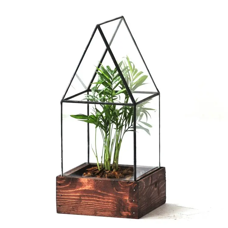 The Cape Cod Terrarium 1
