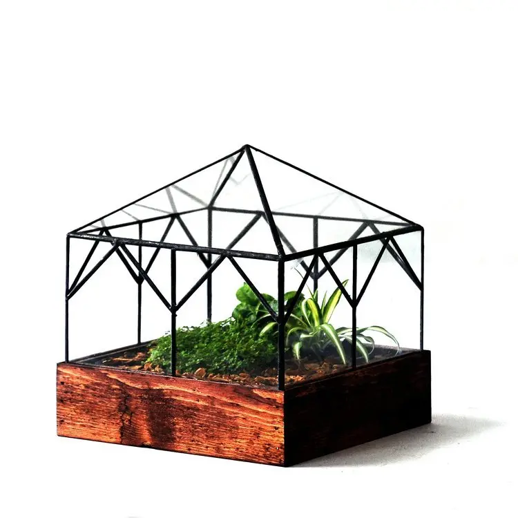 The Cottage Terrarium 1