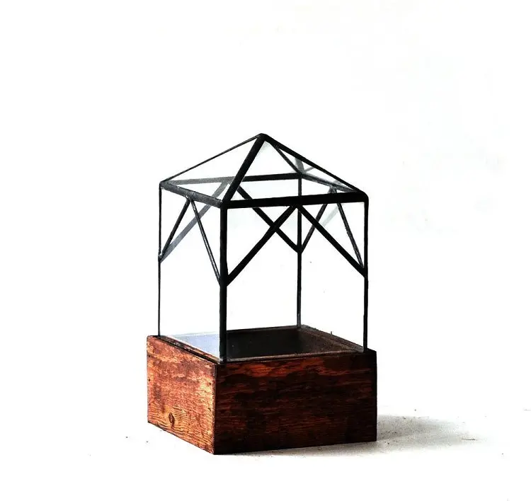 The Ellias Trap Terrarium 1