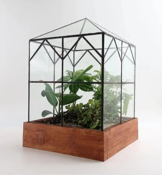 The Esau Terrarium 1