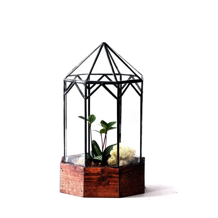 The Gazebo Terrarium 1