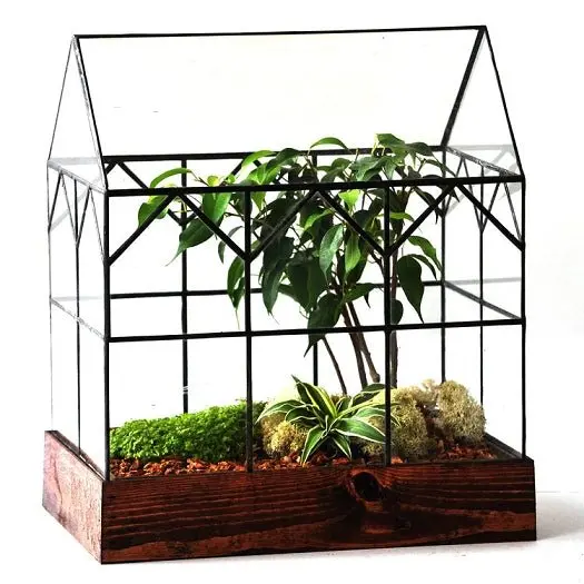 The Hall House Terrarium 1