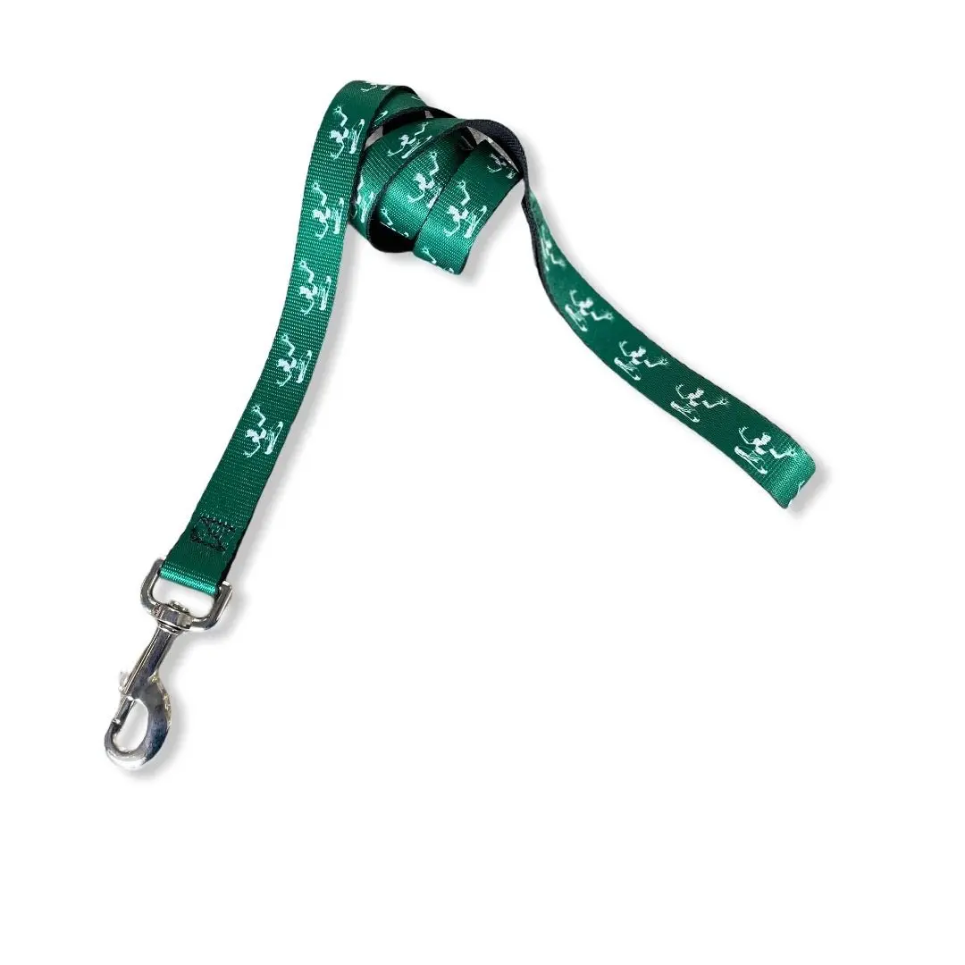 Spirit Of Detroit Dog Leash / White + Green 1