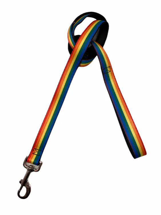 Detroit Dog Leash / Rainbow Stripe 1