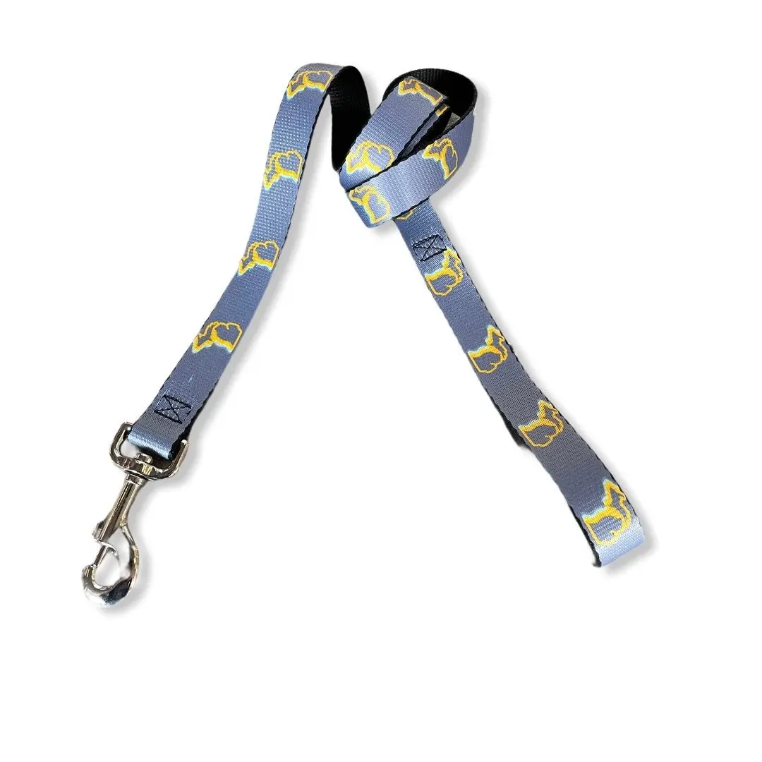 Enjoy Michigan Dog Leash / Yellow + Gray 1