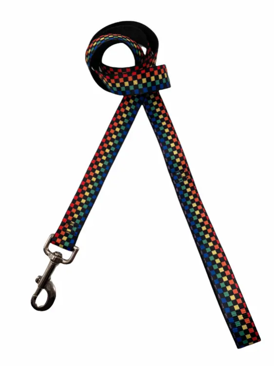 Detroit Dog Leash / Rainbow Checker 1