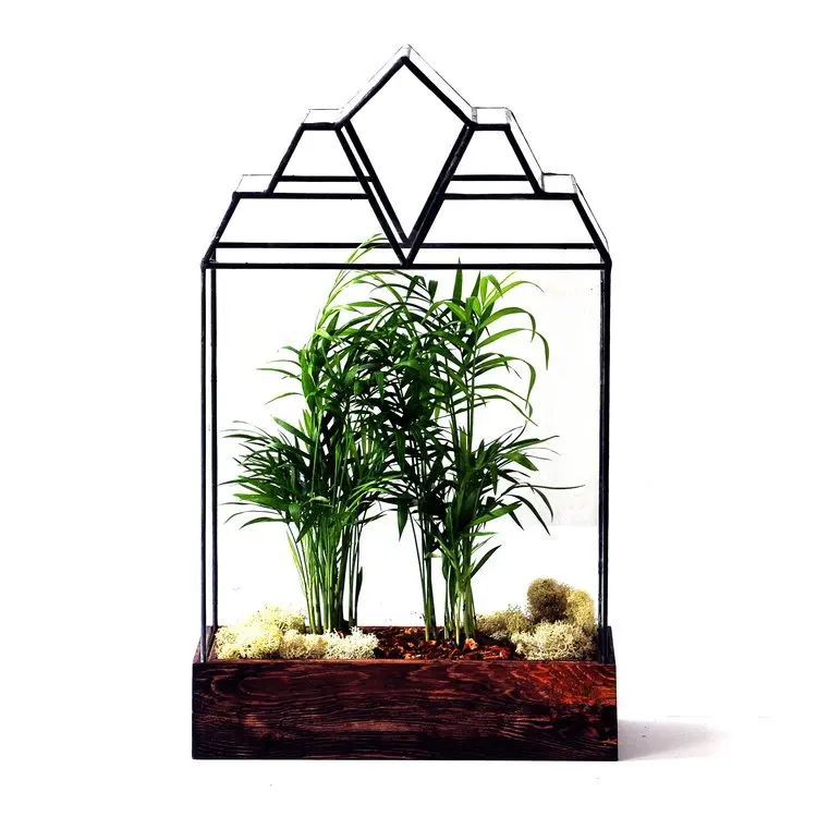 The Mendel Terrarium 1