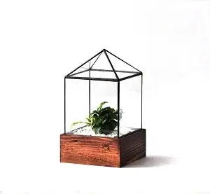 Little House Terrarium 1