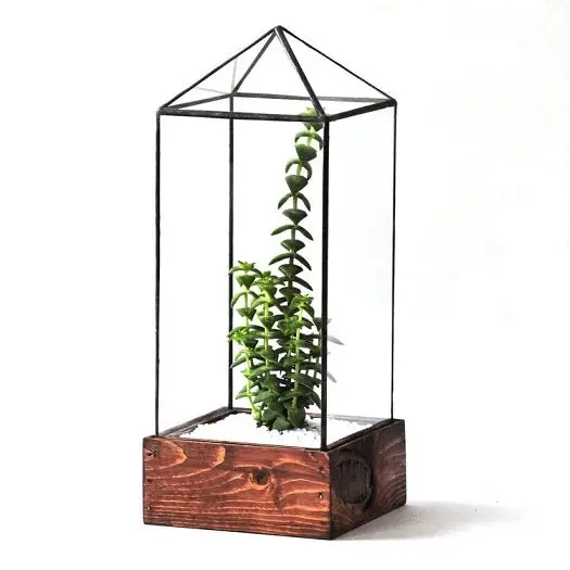 Tower Terrarium 1