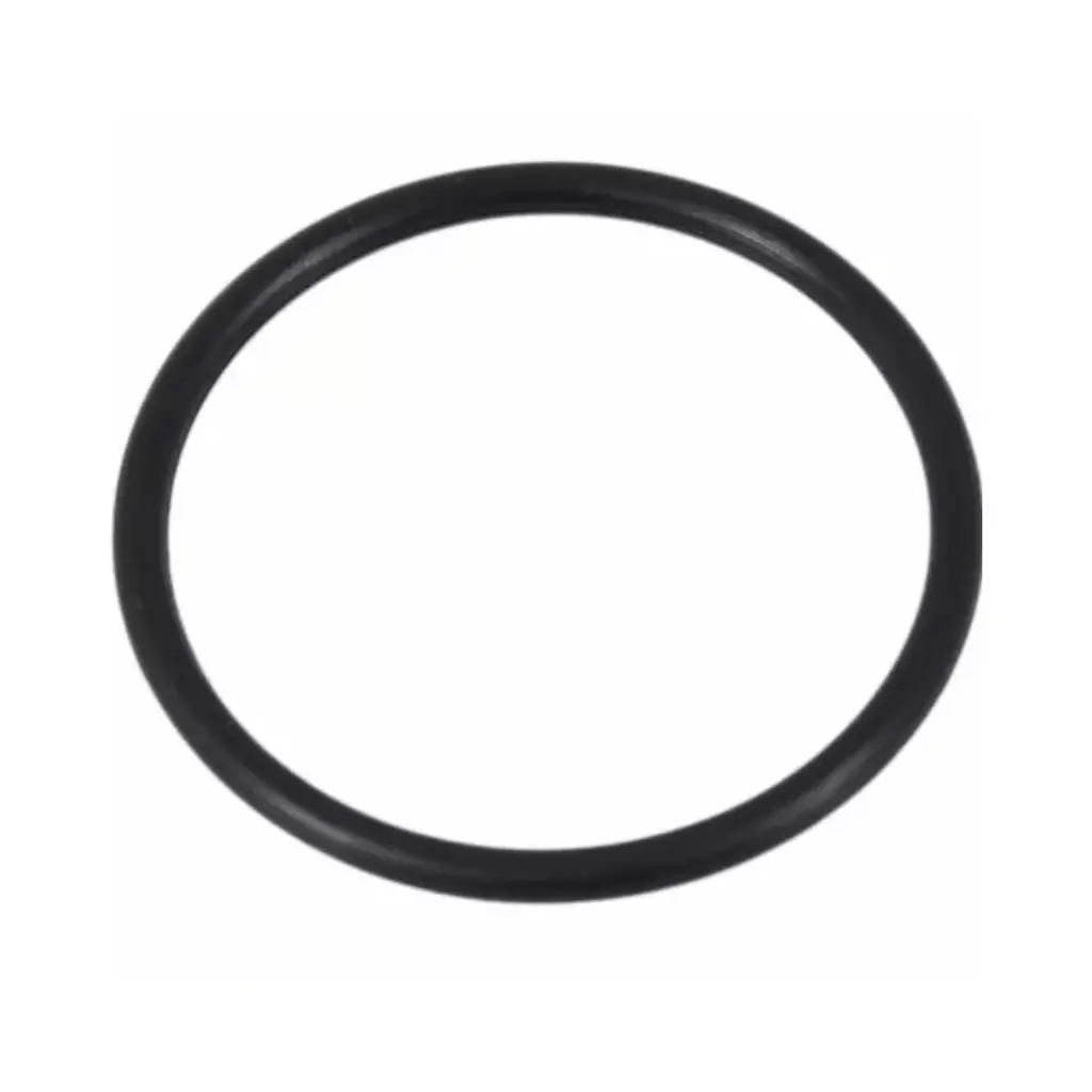 1X Water Pump O-Ring - Ford (Br3z-8527-A) 1