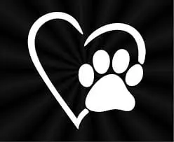 Custom Vinyl Window Decal 8