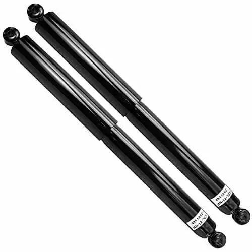 Ford F-150 Pair (1) Complete Shock Absober Assembly Fit Rear Left & Right 2Wd 1