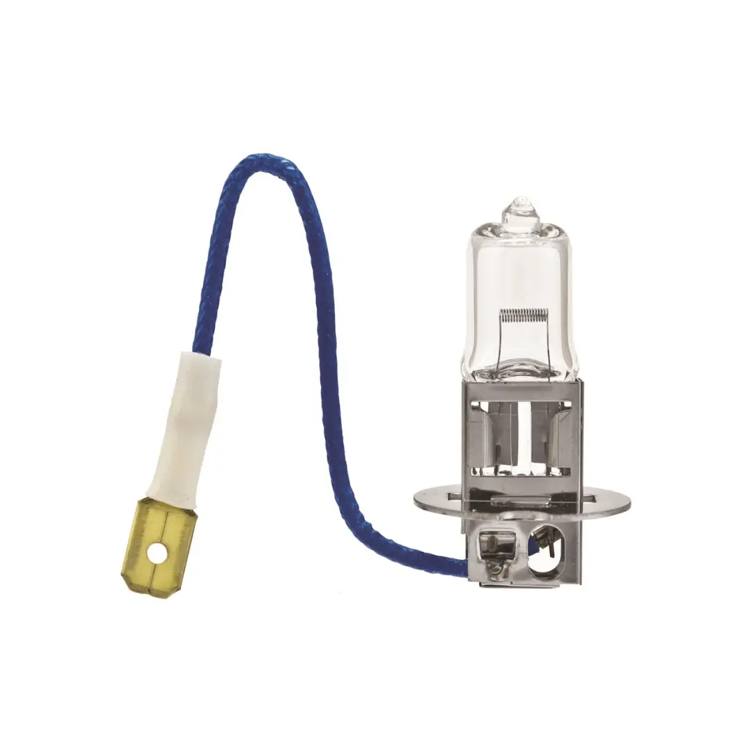 H3 100W High Wattage Bulb, 12V 1