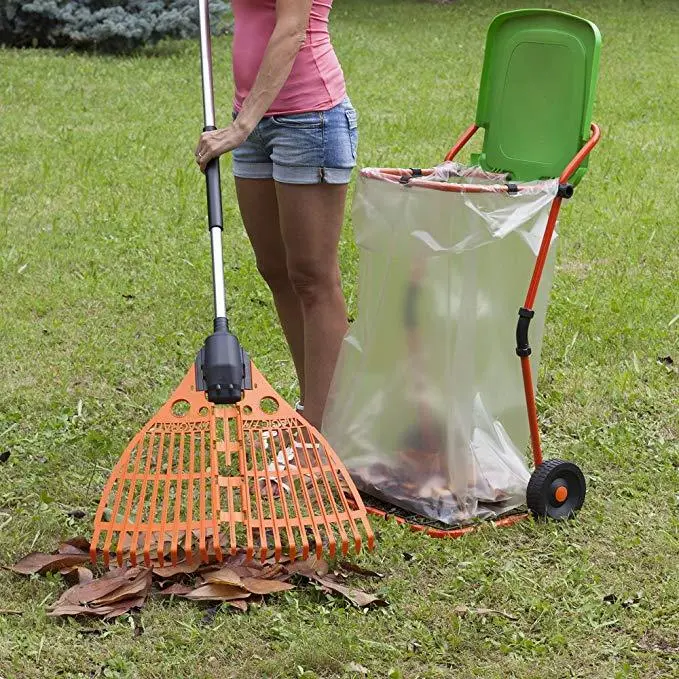 Art. 2000: Magic Fly Leaves Broom 1