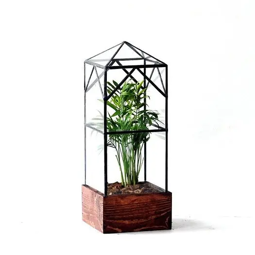 North Tower Terrarium 1