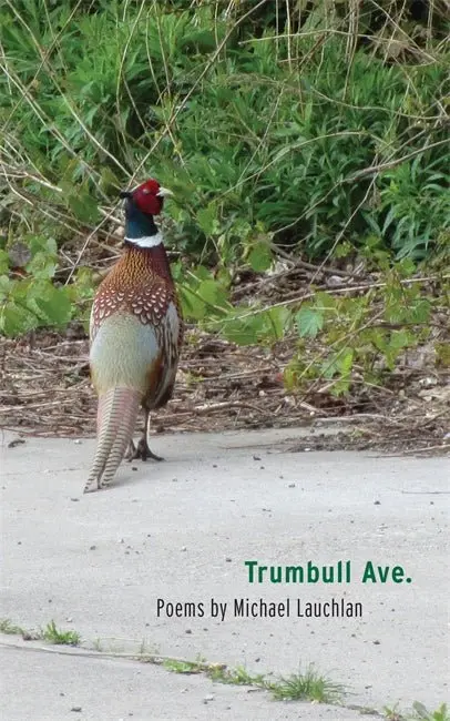 Trumbull Ave:Poems By Michael Lauchlan 1